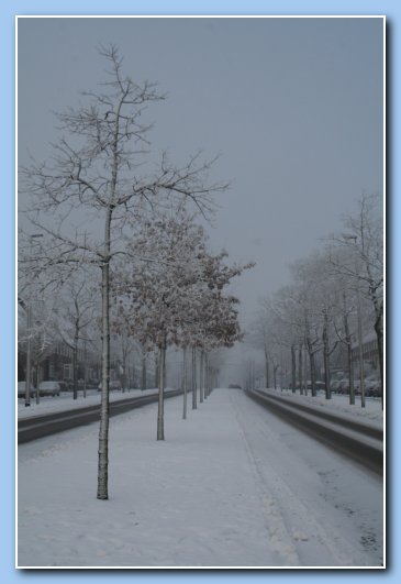 Arnhem Snow 022